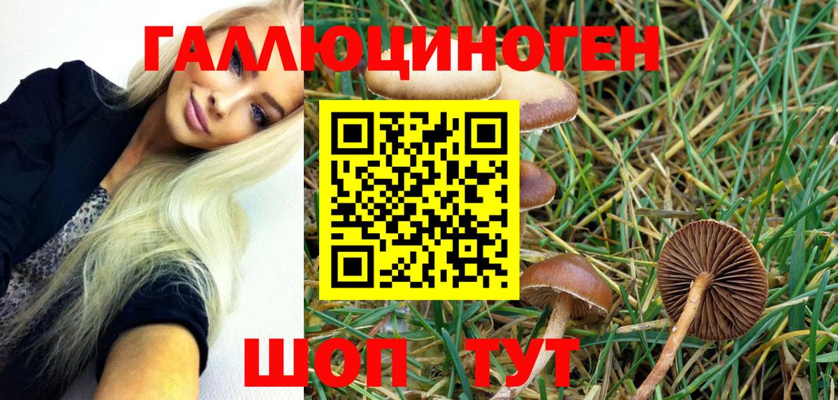 Галлюциногенные грибы MAGIC MUSHROOMS  Псилоцибиновые грибы GOLDEN TEACHER  Выборг  Вход с VPN 