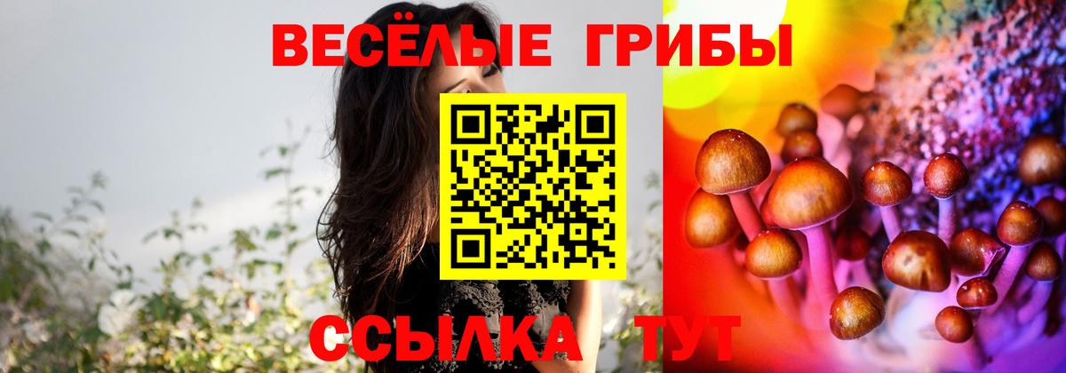Псилоцибиновые грибы мухоморы Выборг